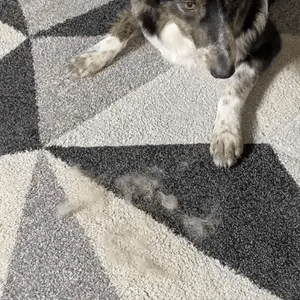 ‫™FurFree Pro כפפה להסרת שיער חיות מחמד‬